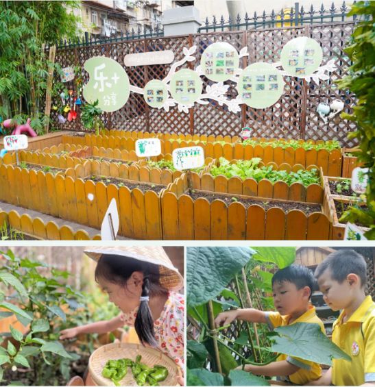 江汉区北湖幼儿园抓牢关键阶段米乐体育M6直播平台武汉市