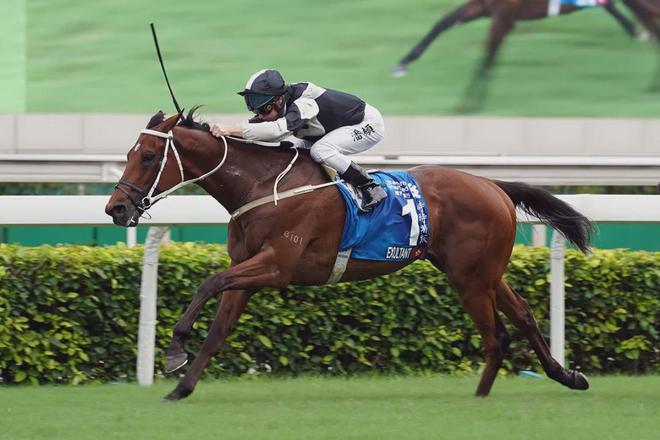 眼罩夺魁家族曾养香港马王米乐m6网站王经纬赛驹戴