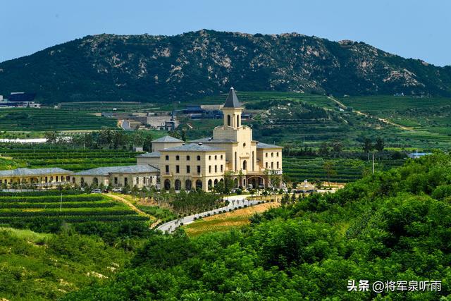 入芝罘区为中坚福山领跑增速龙口为压舱石米乐体育app网站2024年烟台财政收(图6)
